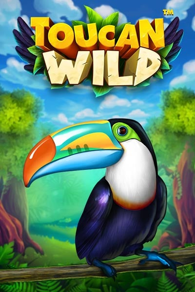 Toucan Wild
