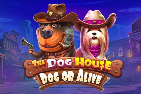 The Dog House - Dog or Alive