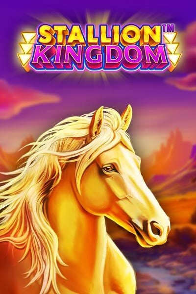 Stallion Kingdom