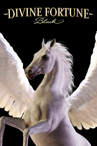 Divine Fortune Black