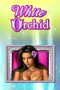 White Orchid