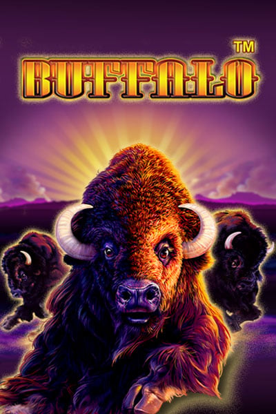 Buffalo