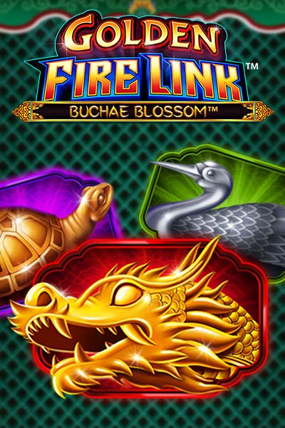 Golden Firelink Buchae Blossom