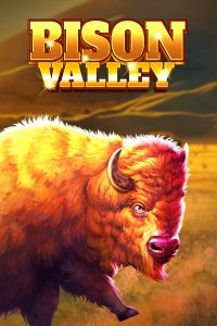 Bison Valley BB