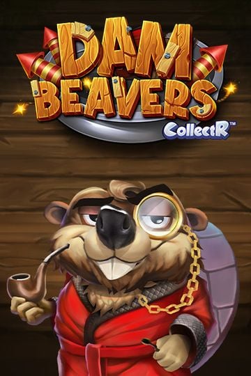 Dam Beavers