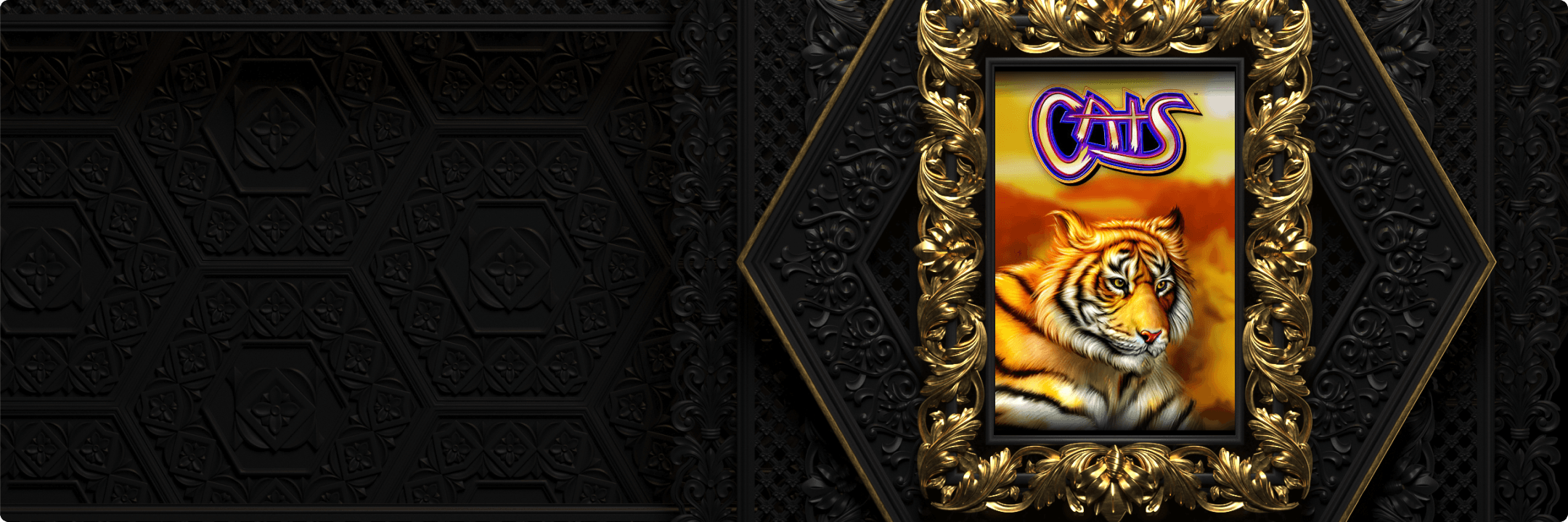 Slot of the Week